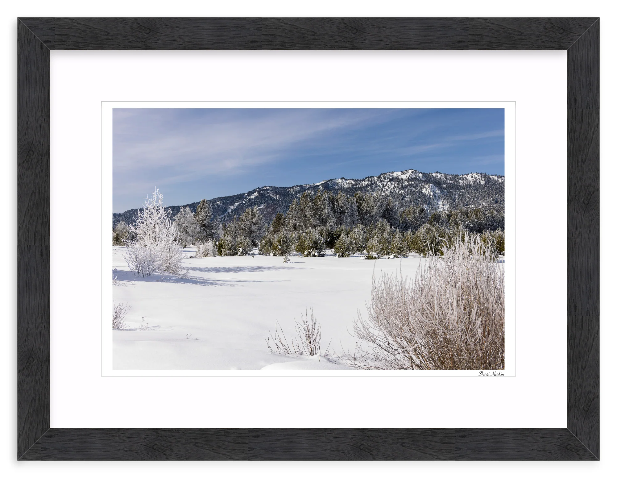 Winter View of Tamarack - Image 14