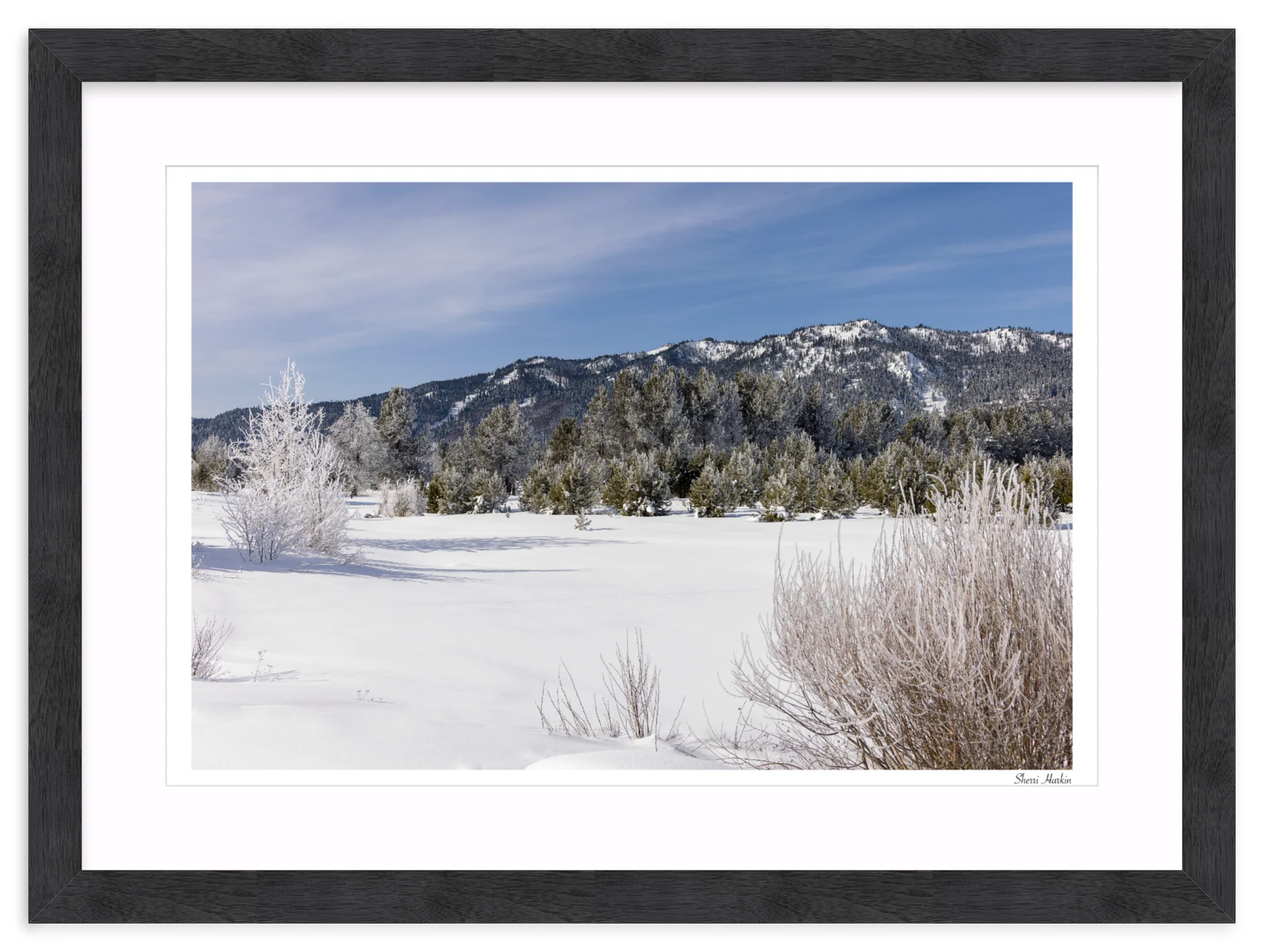 Winter View of Tamarack - Image 15