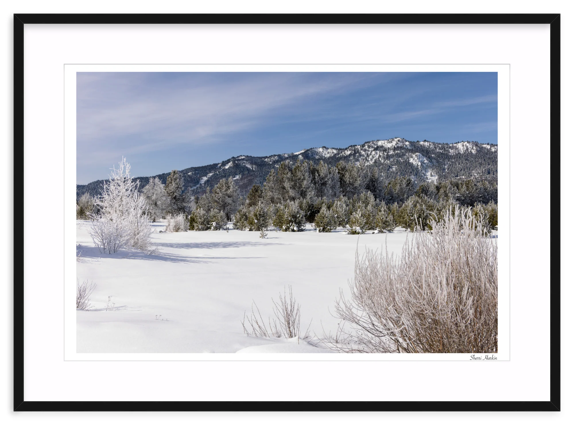 Winter View of Tamarack - Image 3