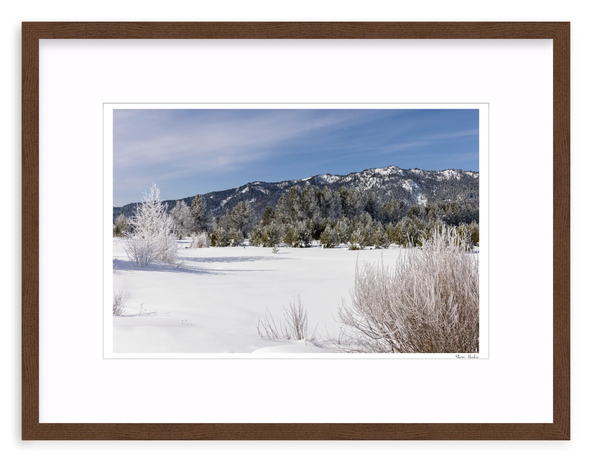 Winter View of Tamarack - Image 4