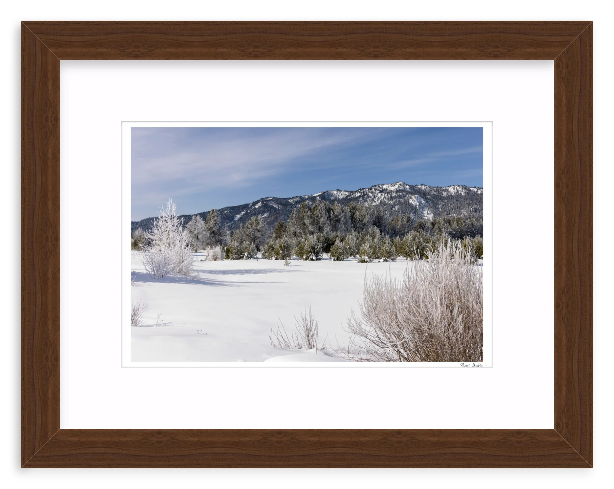 Winter View of Tamarack - Image 7